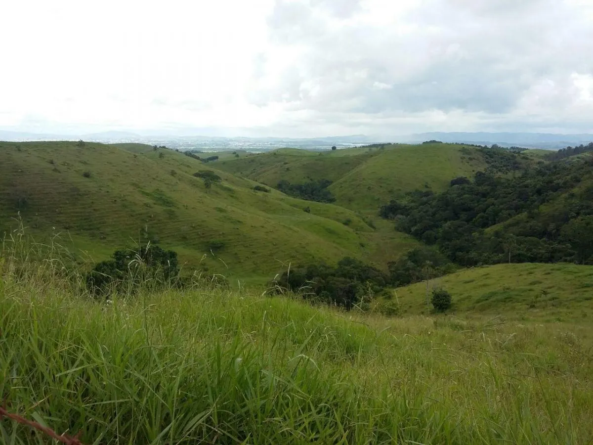 Fazenda à venda de 100 ha em Taubaté, SP, Brasil
