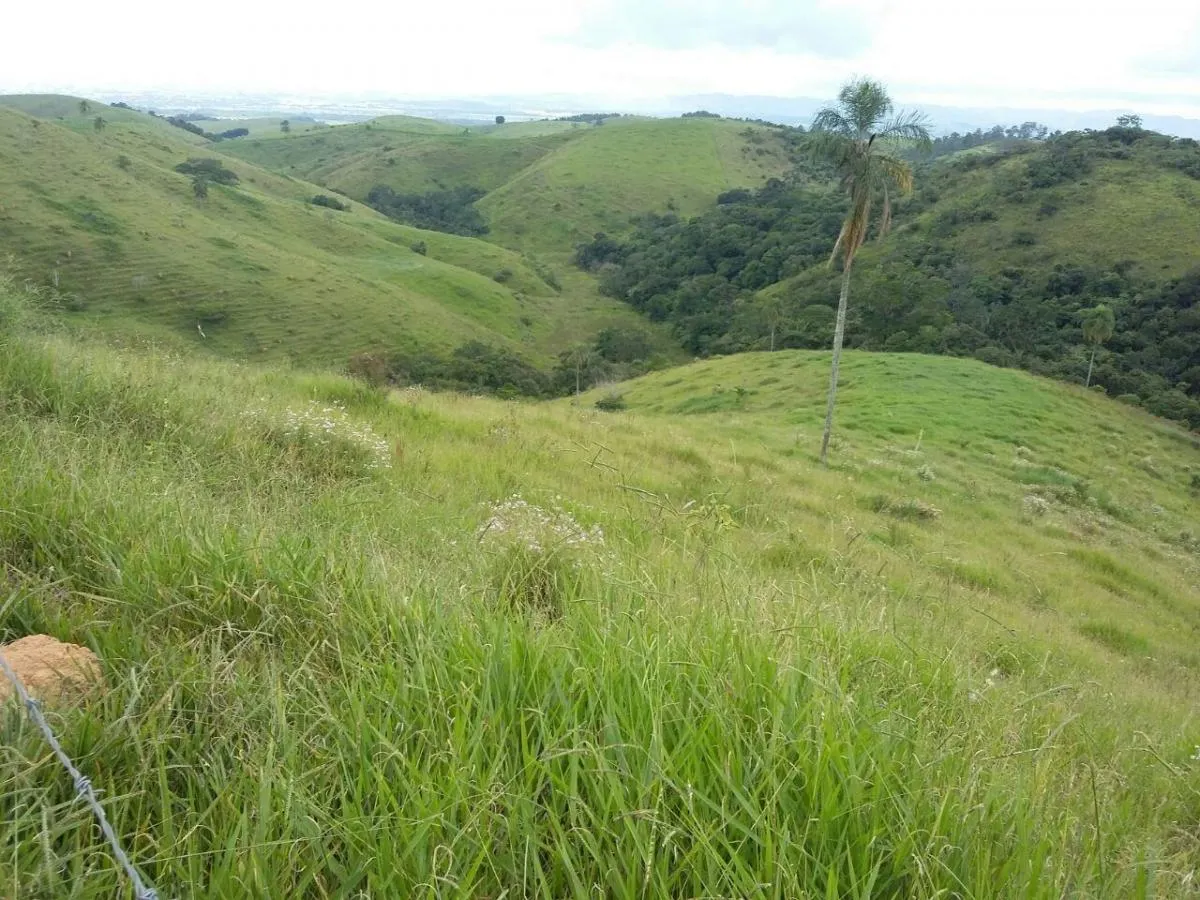 Fazenda à venda de 100 ha em Taubaté, SP, Brasil