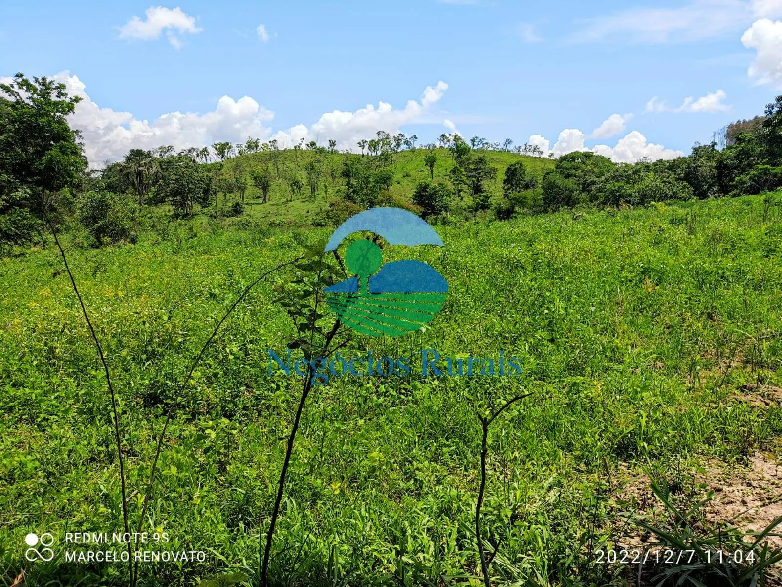 Farm for sale of 358 acres in Padre Bernardo, GO, Brazil
