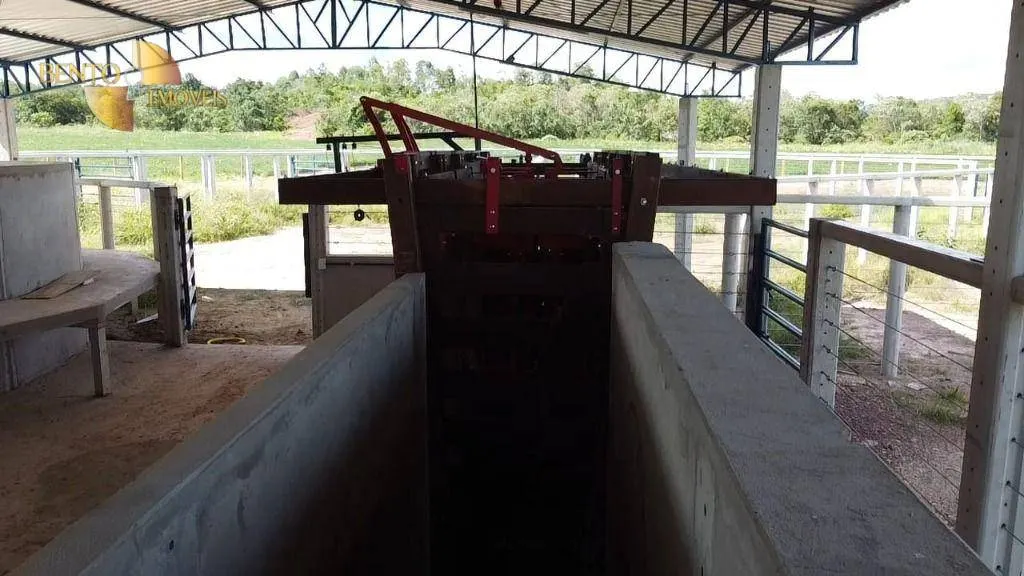 Fazenda à venda de 9.145 ha em Goiatins, TO, Brasil