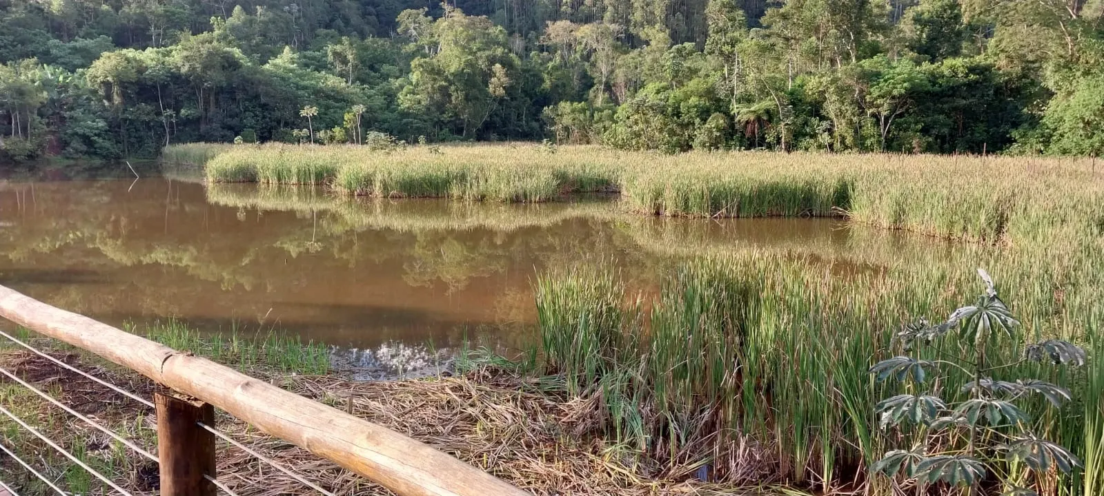 Country home for sale of 1,000 m² in Monteiro Lobato, SP, Brazil