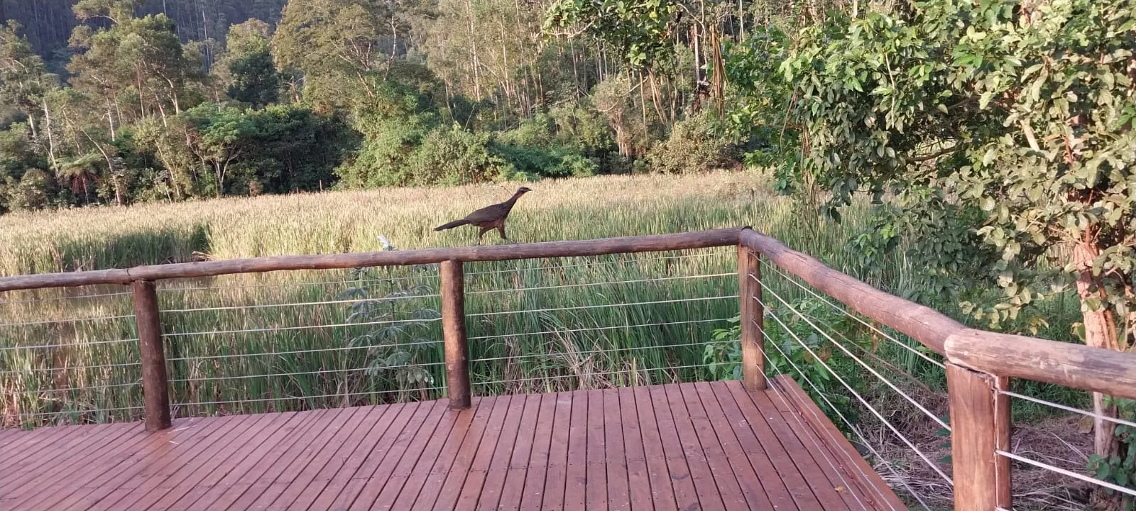 Country home for sale of 1,000 m² in Monteiro Lobato, SP, Brazil