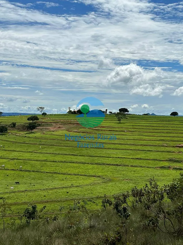Fazenda à venda de 542 ha em Caiapônia, GO, Brasil