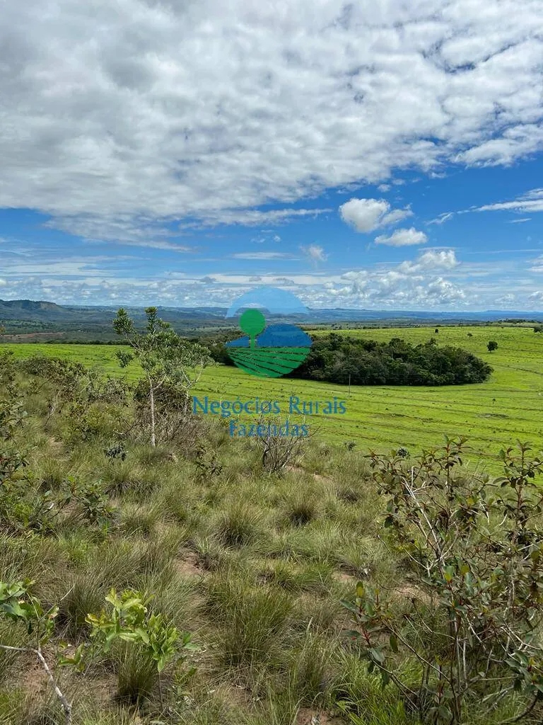 Fazenda à venda de 542 ha em Caiapônia, GO, Brasil