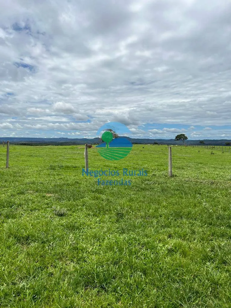 Fazenda à venda de 542 ha em Caiapônia, GO, Brasil
