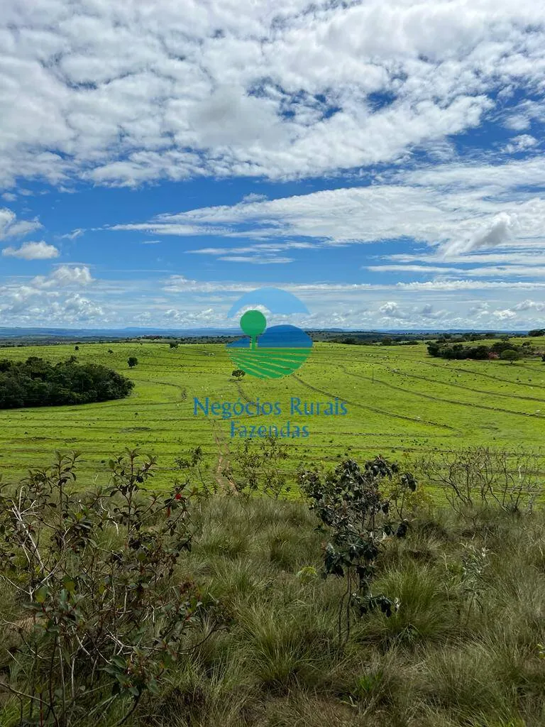 Fazenda à venda de 542 ha em Caiapônia, GO, Brasil