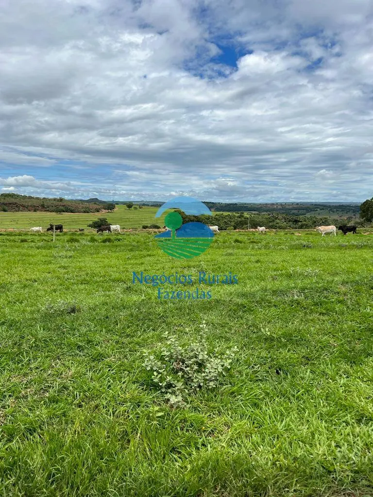 Fazenda à venda de 542 ha em Caiapônia, GO, Brasil