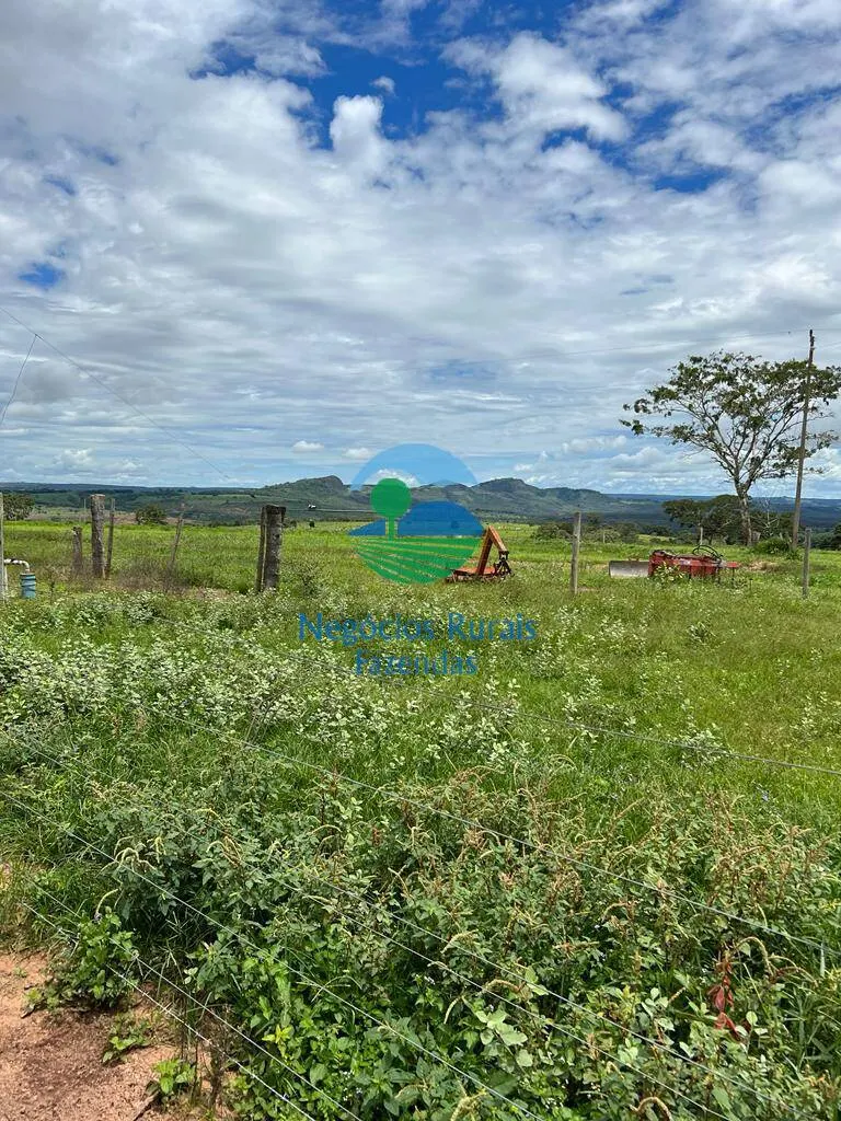Fazenda à venda de 542 ha em Caiapônia, GO, Brasil