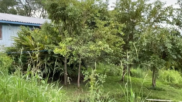 Chácara à venda de 3 ha em Taquara, RS, Brasil
