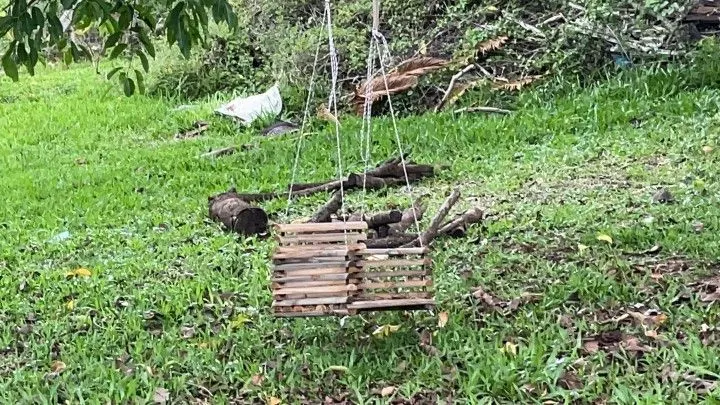 Chácara à venda de 3 ha em Taquara, RS, Brasil