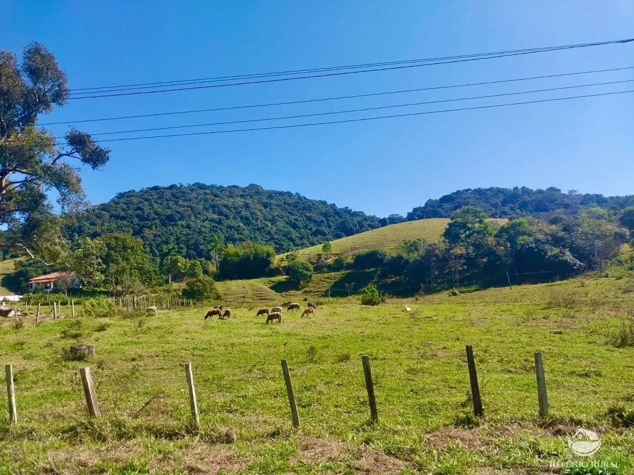 Fazenda à venda de 111 ha em São José dos Campos, SP, Brasil