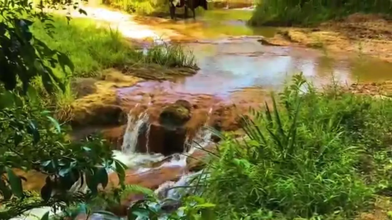 Fazenda à venda de 2.582 ha em Santa Branca, SP, Brasil