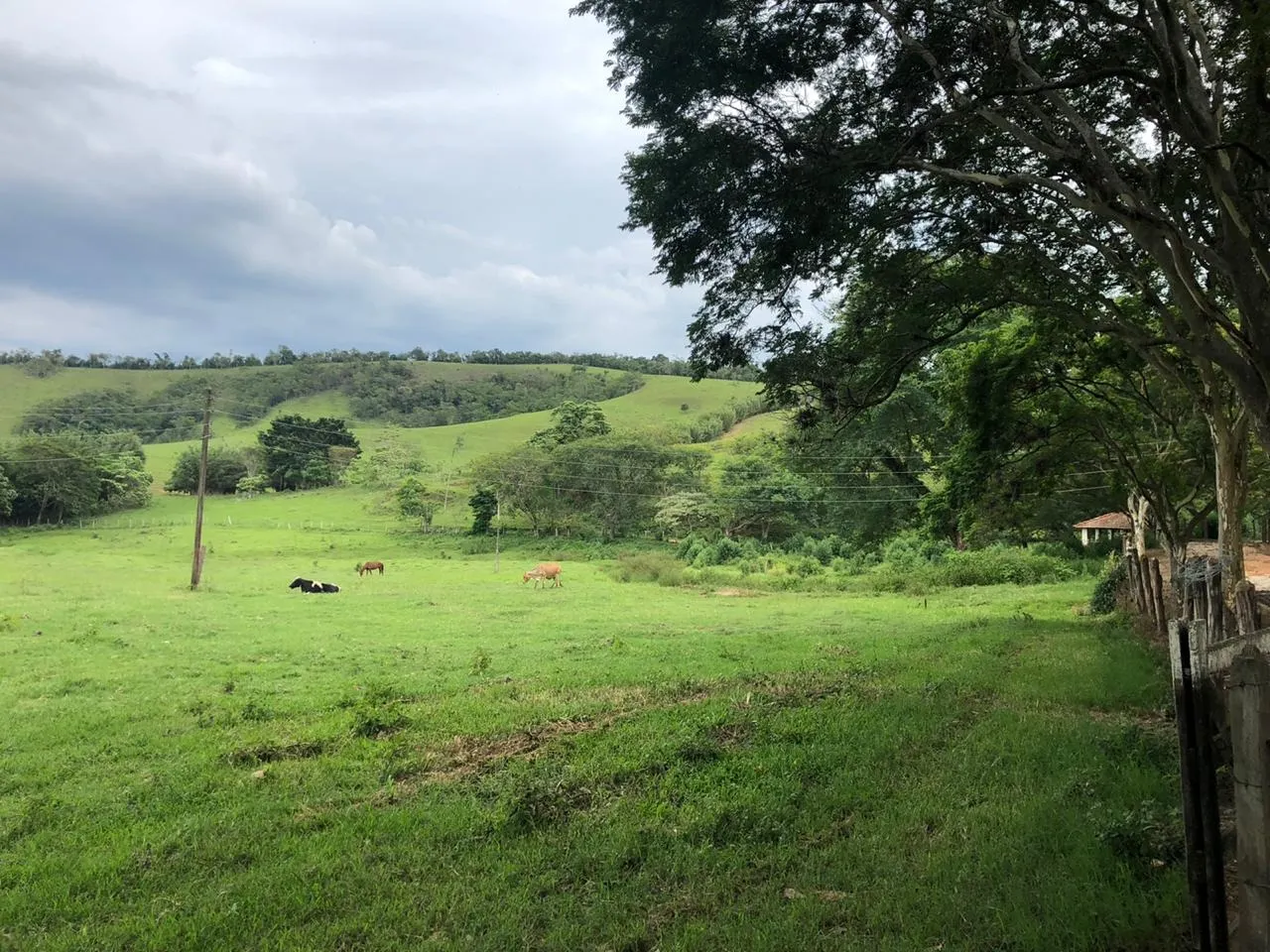 Fazenda à venda de 2.582 ha em Santa Branca, SP, Brasil