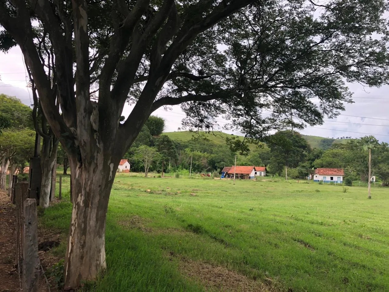 Fazenda à venda de 2.582 ha em Santa Branca, SP, Brasil