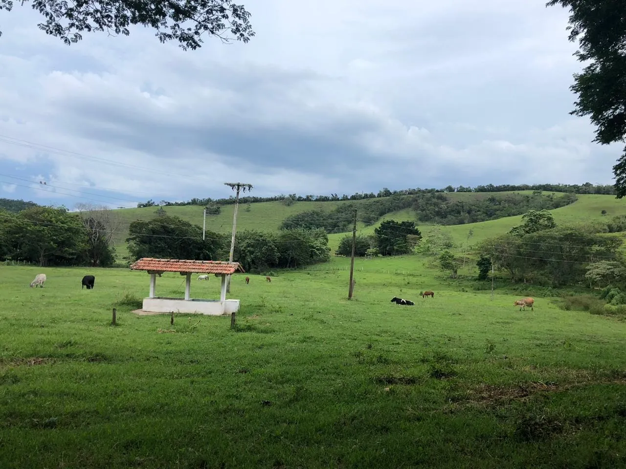 Fazenda à venda de 2.582 ha em Santa Branca, SP, Brasil