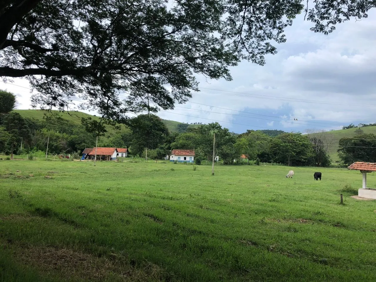 Fazenda à venda de 2.582 ha em Santa Branca, SP, Brasil