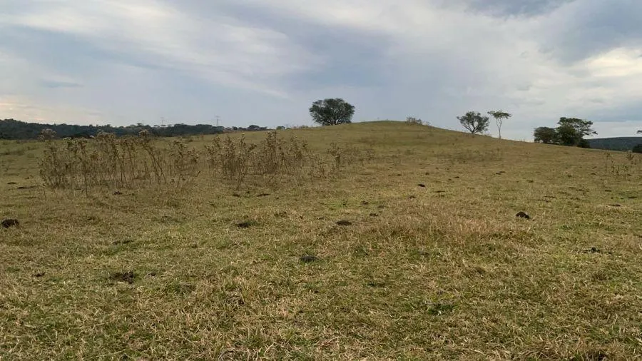 Small farm for sale of 114 acres in Bauru, SP, Brazil