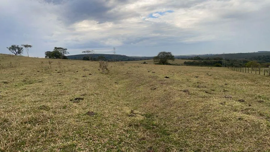 Small farm for sale of 114 acres in Bauru, SP, Brazil