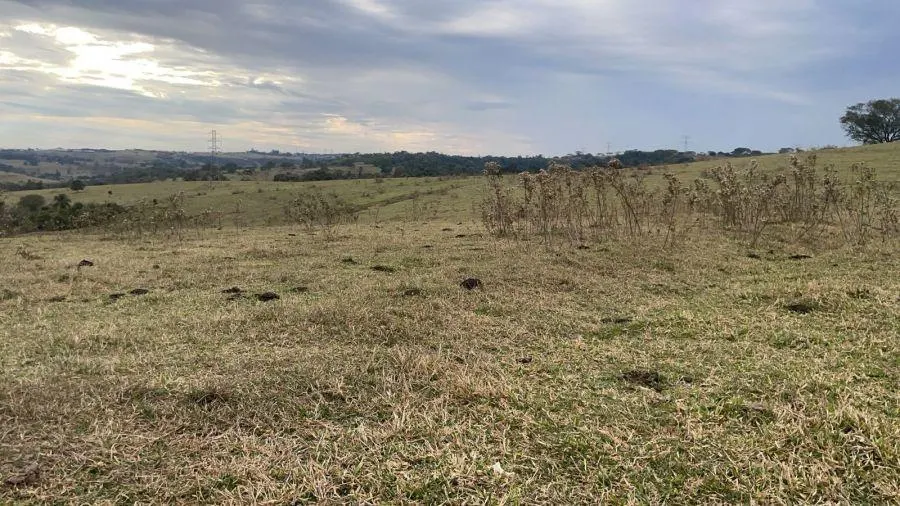 Small farm for sale of 114 acres in Bauru, SP, Brazil