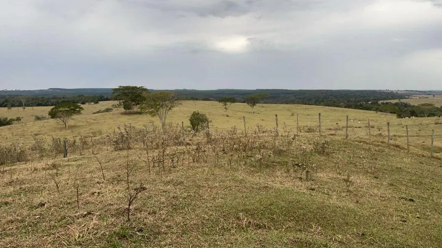 Sítio à venda de 46 ha em Bauru, SP, Brasil