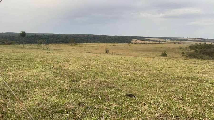 Small farm for sale of 114 acres in Bauru, SP, Brazil