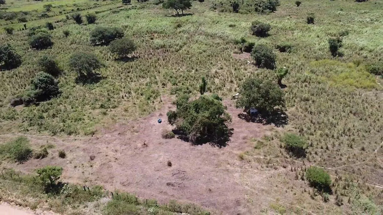 Fazenda à venda de 348 ha em Ibotirama, BA, Brasil
