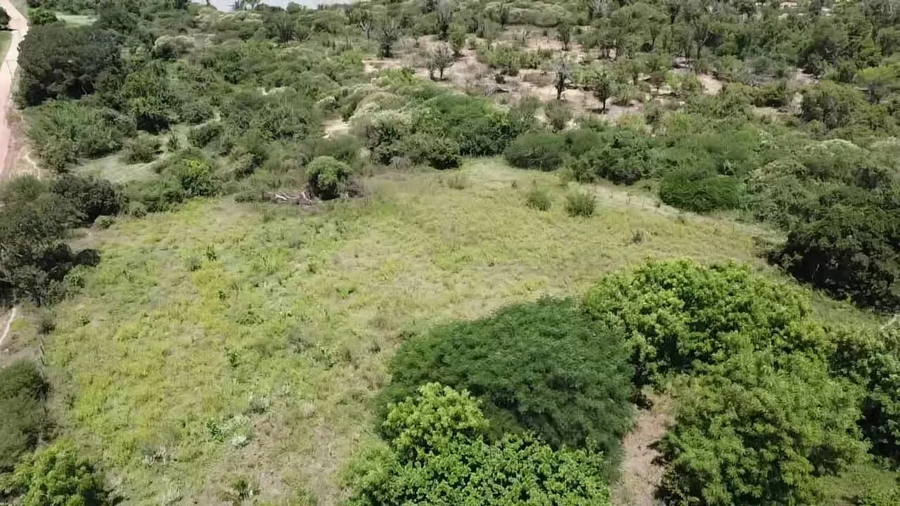 Fazenda à venda de 348 ha em Ibotirama, BA, Brasil