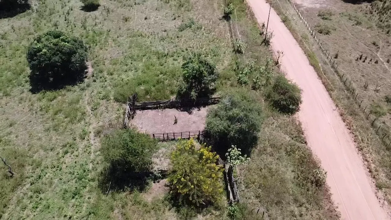 Fazenda à venda de 348 ha em Ibotirama, BA, Brasil