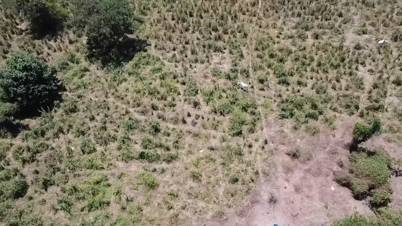 Fazenda à venda de 348 ha em Ibotirama, BA, Brasil