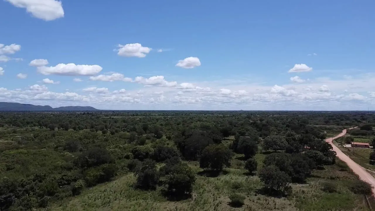 Fazenda à venda de 348 ha em Ibotirama, BA, Brasil