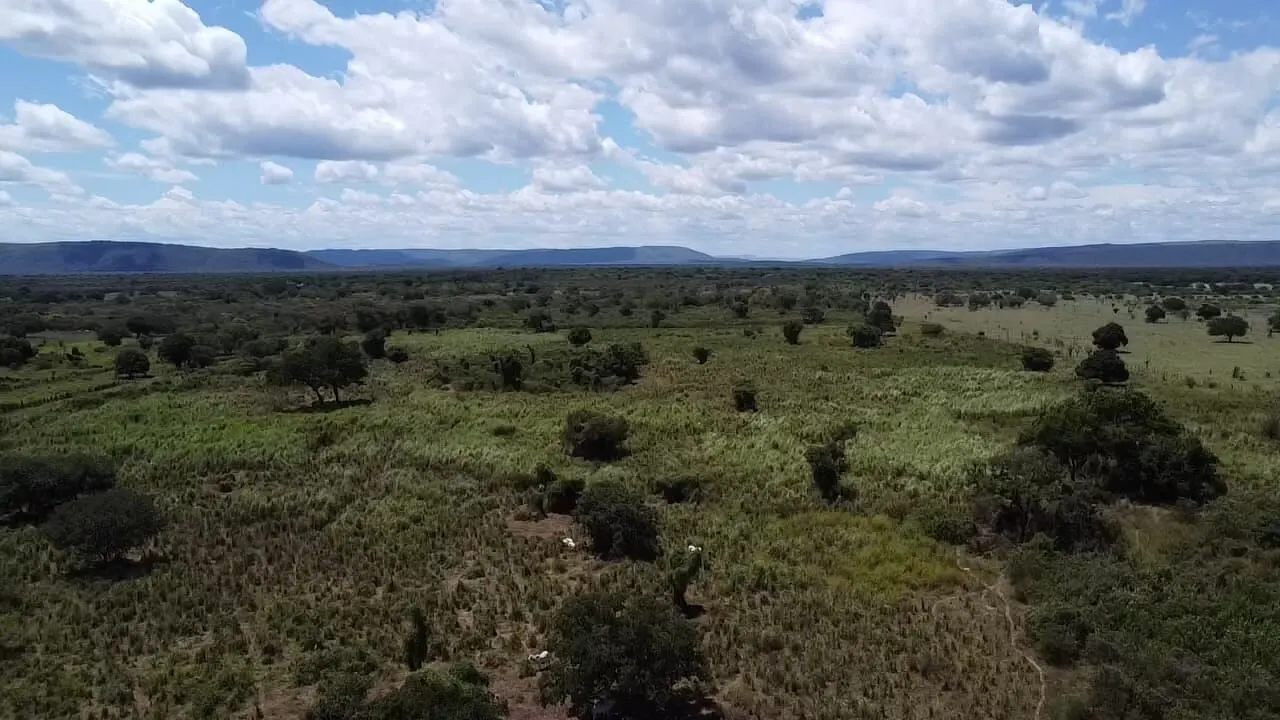 Fazenda à venda de 348 ha em Ibotirama, BA, Brasil