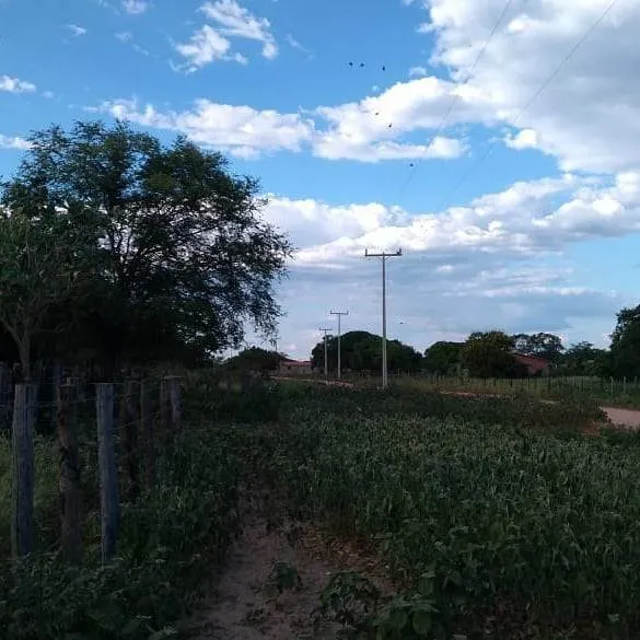 Fazenda à venda de 348 ha em Ibotirama, BA, Brasil