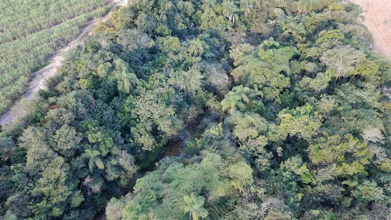 Fazenda à venda de 27 ha em Sorocaba, SP, Brasil