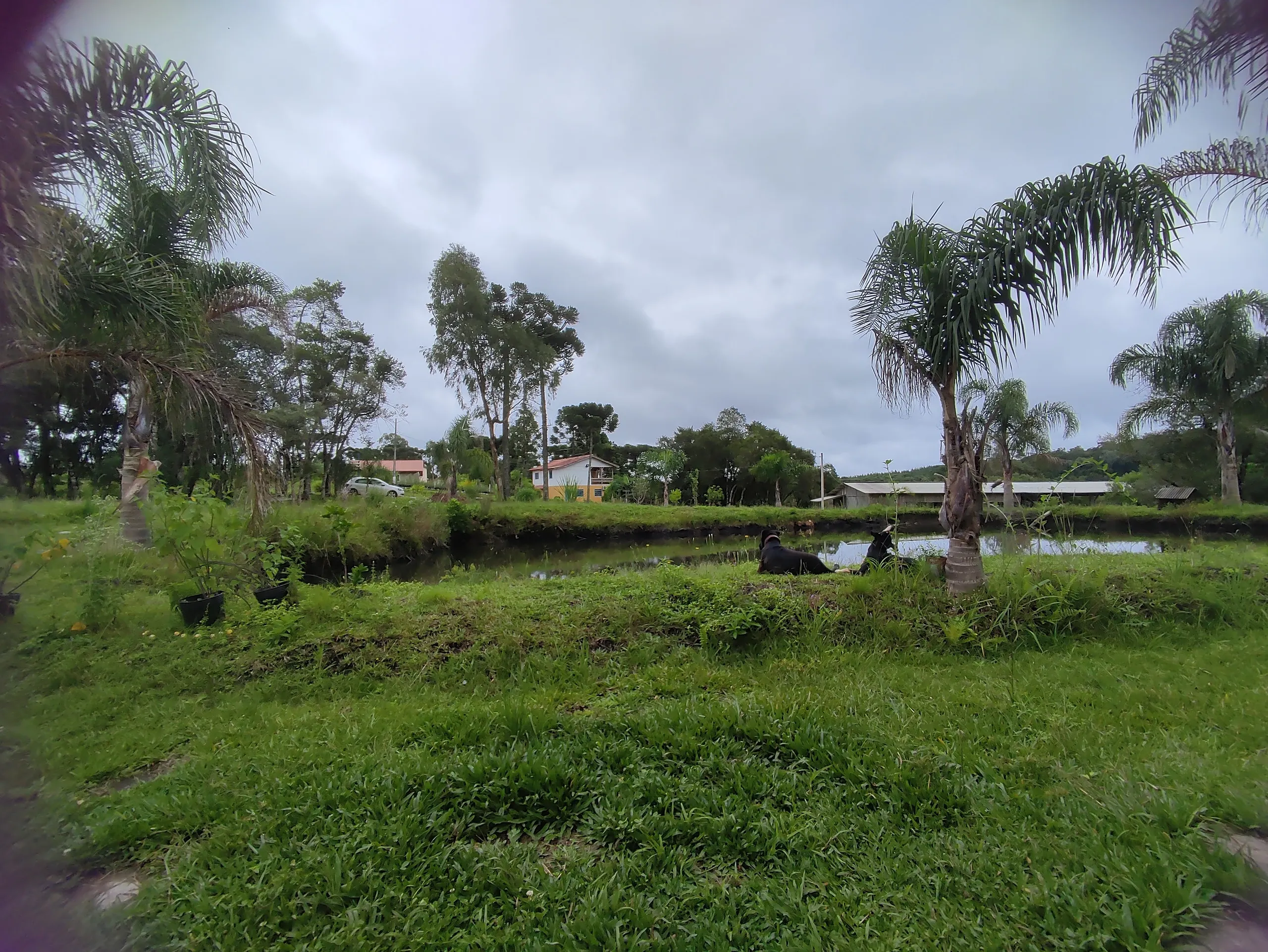 Sítio à venda de 3 ha em Tijucas do Sul, PR, Brasil