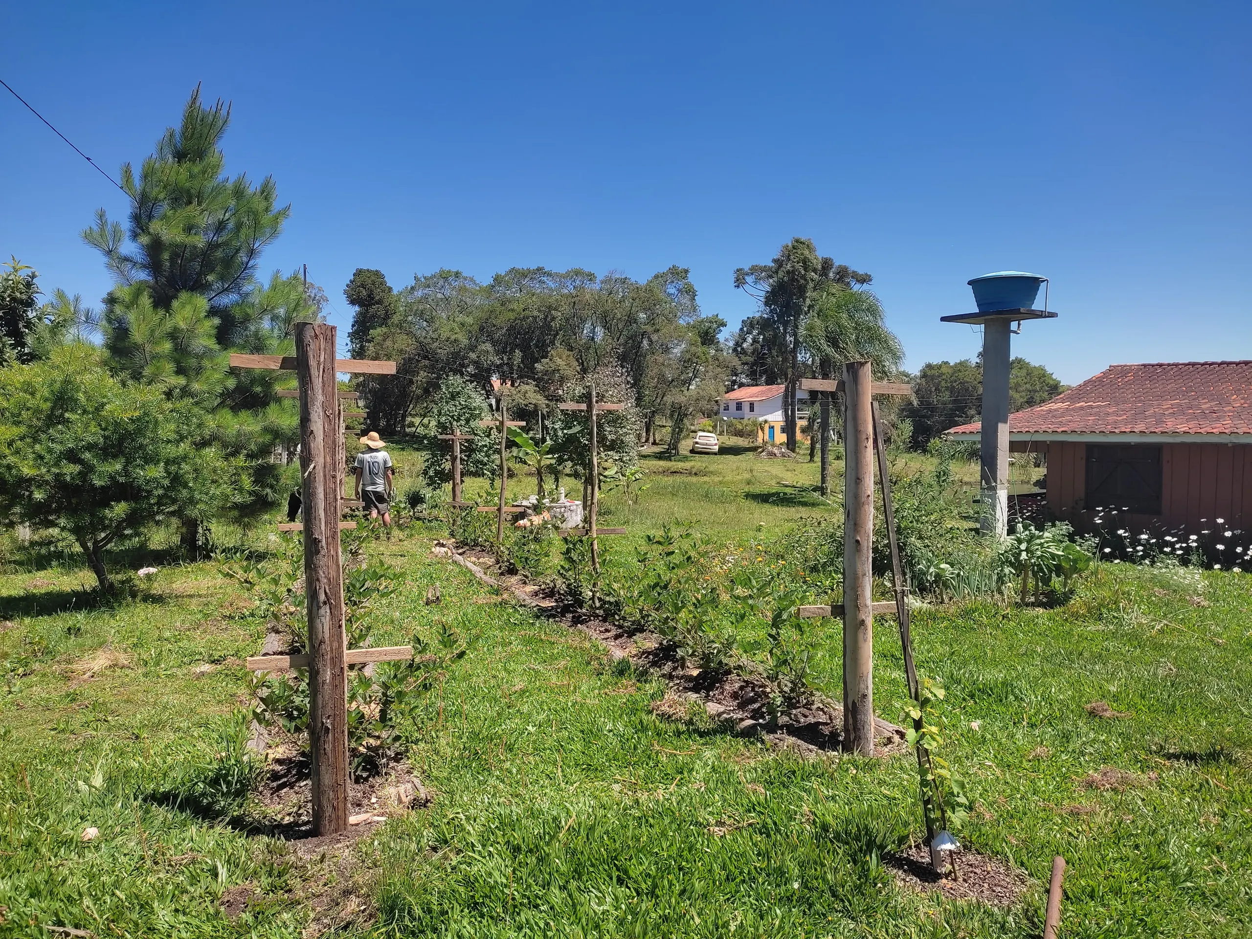 Small farm for sale of 8 acres in Tijucas do Sul, PR, Brazil