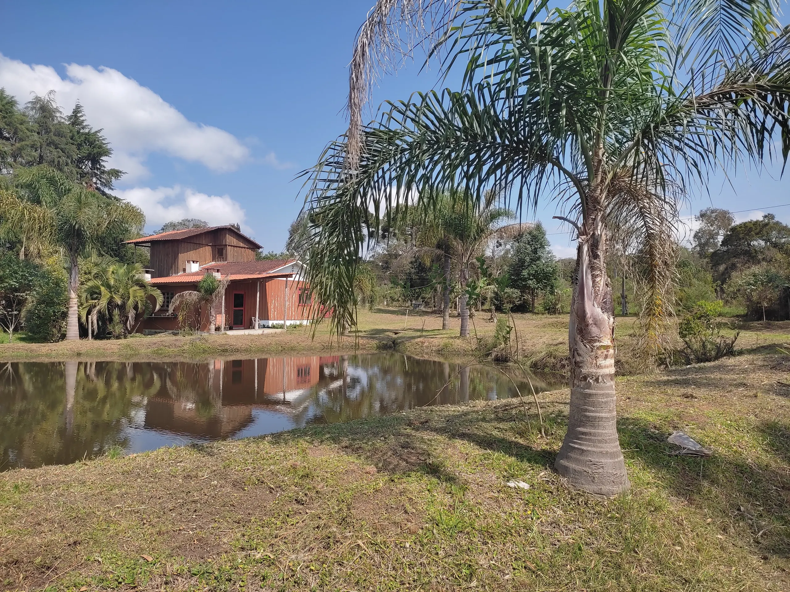 Small farm for sale of 8 acres in Tijucas do Sul, PR, Brazil