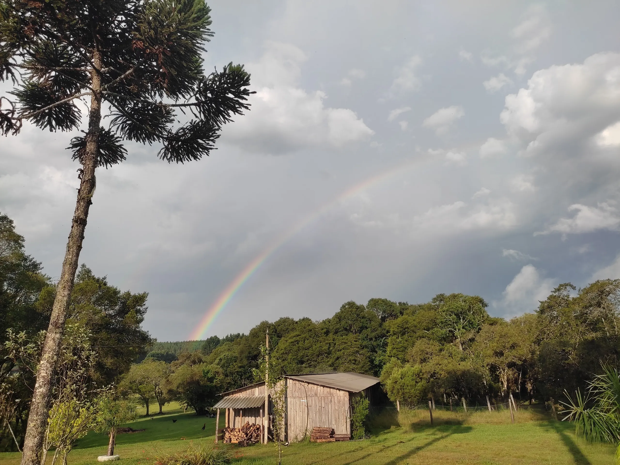 Small farm for sale of 8 acres in Tijucas do Sul, PR, Brazil