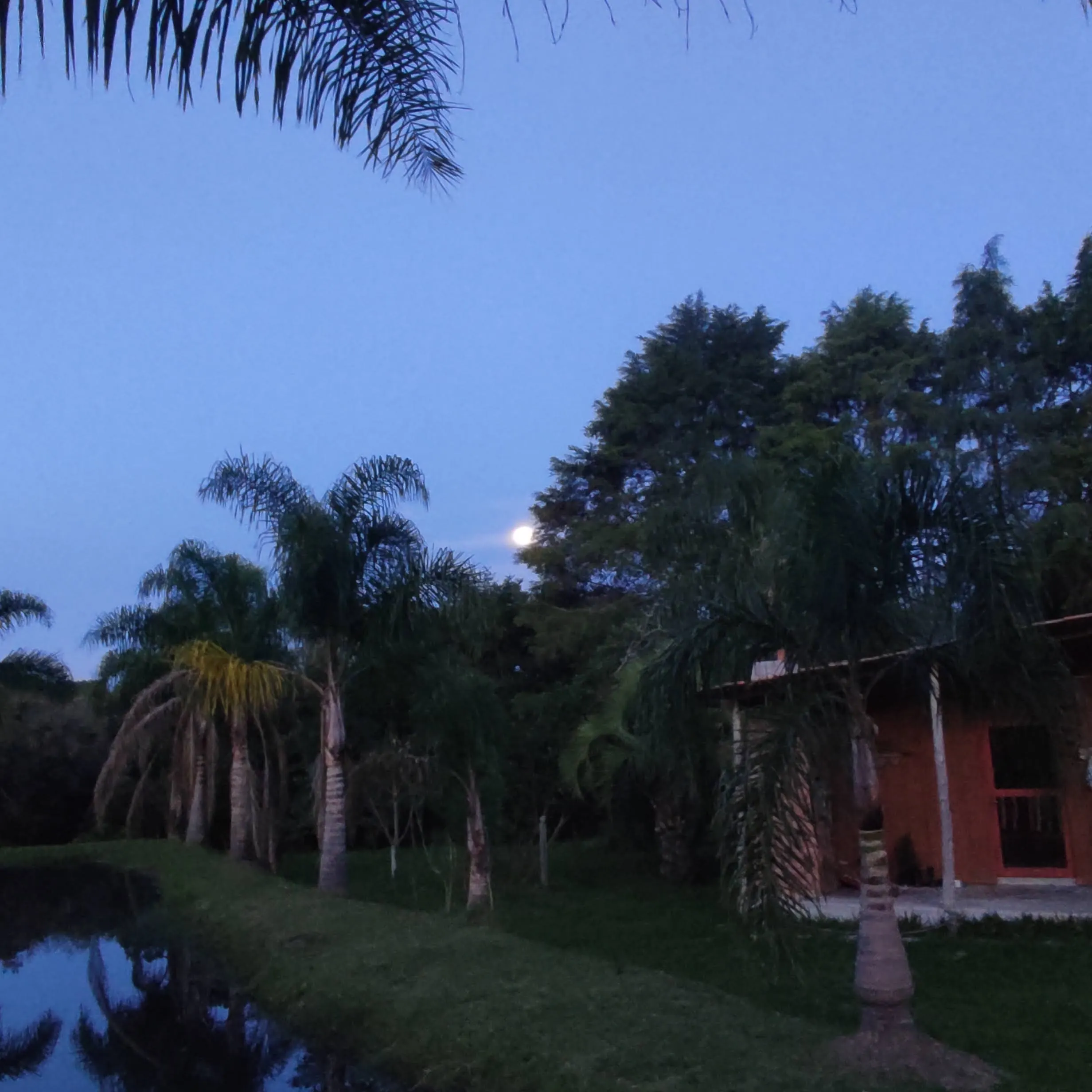Small farm for sale of 8 acres in Tijucas do Sul, PR, Brazil
