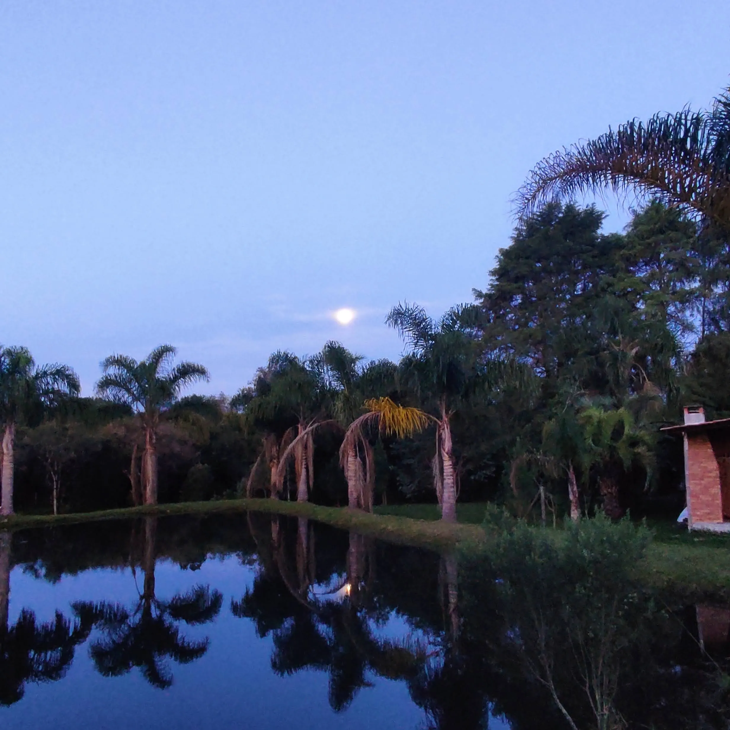 Small farm for sale of 8 acres in Tijucas do Sul, PR, Brazil