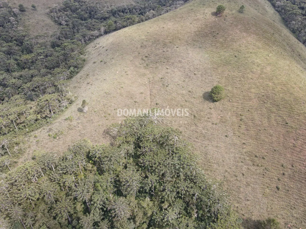 Terreno à venda de 12 ha em Campos do Jordão, SP, Brasil