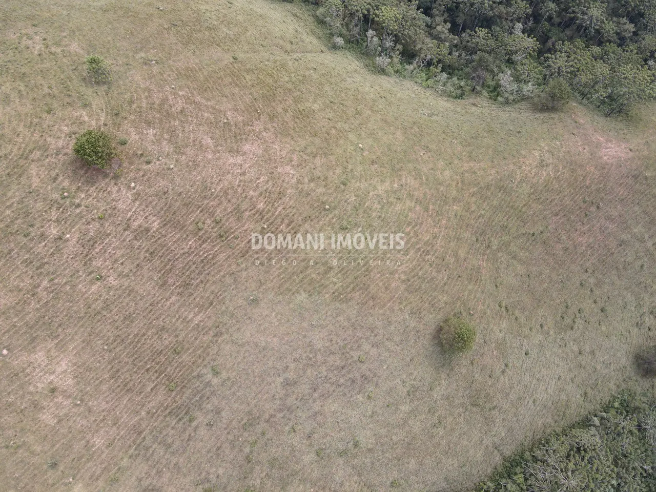 Terreno à venda de 12 ha em Campos do Jordão, SP, Brasil