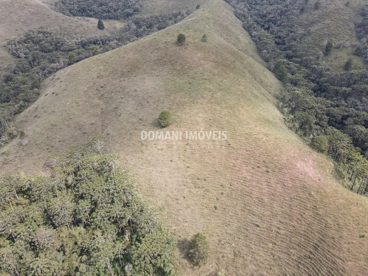 Terreno à venda de 12 ha em Campos do Jordão, SP, Brasil