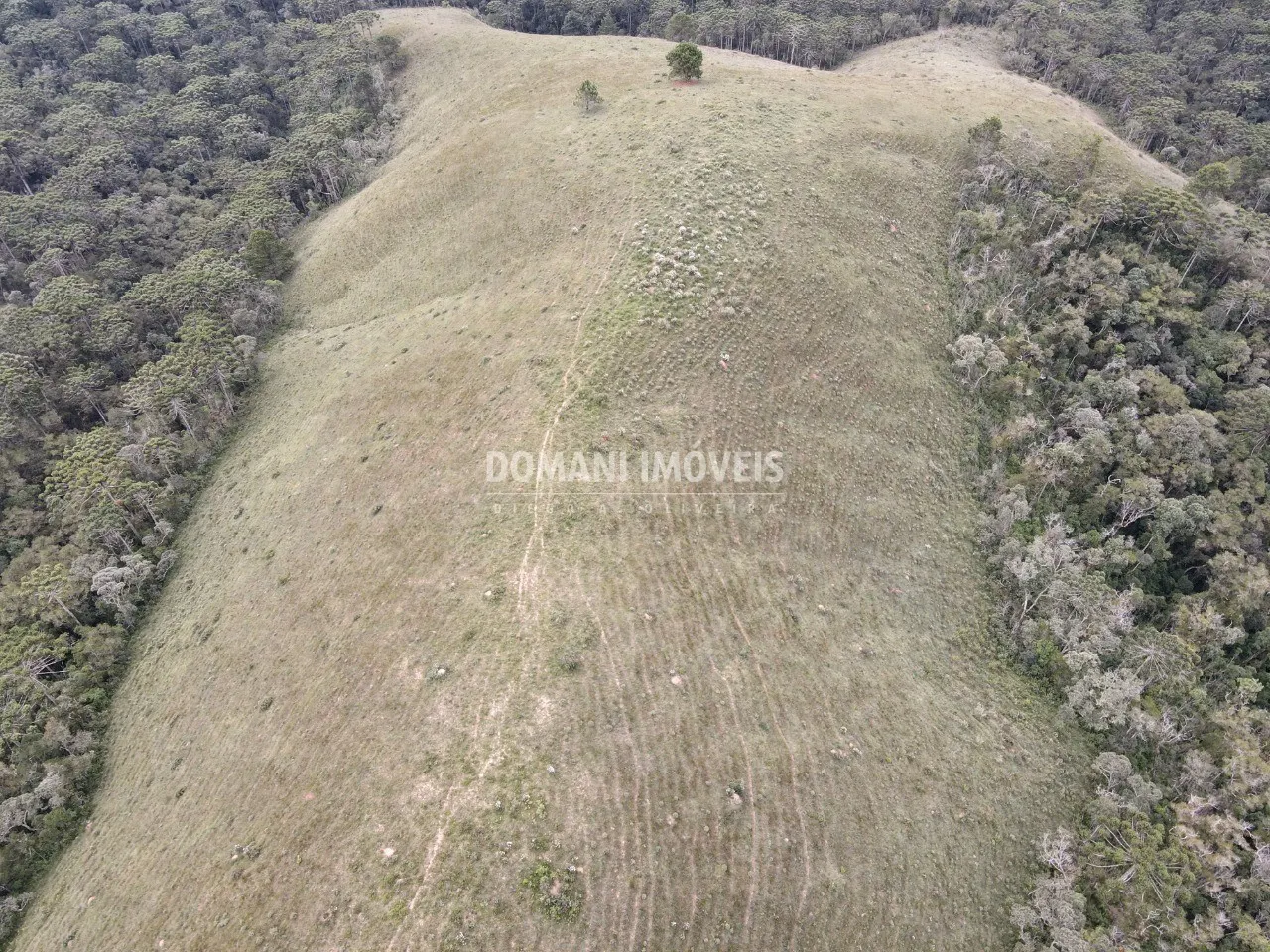 Terreno à venda de 12 ha em Campos do Jordão, SP, Brasil