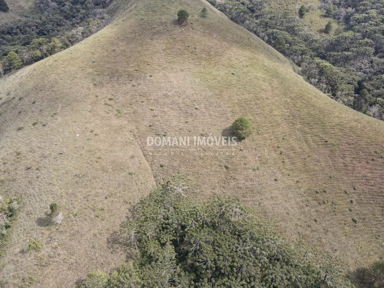Terreno à venda de 12 ha em Campos do Jordão, SP, Brasil