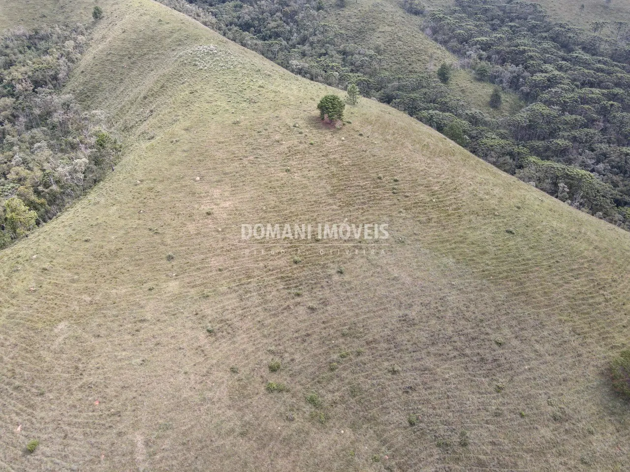 Terreno à venda de 12 ha em Campos do Jordão, SP, Brasil