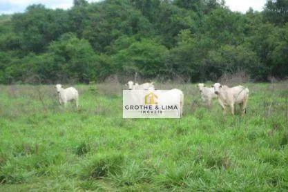 Fazenda à venda de 25.500 ha em Conceição do Tocantins, TO, Brasil