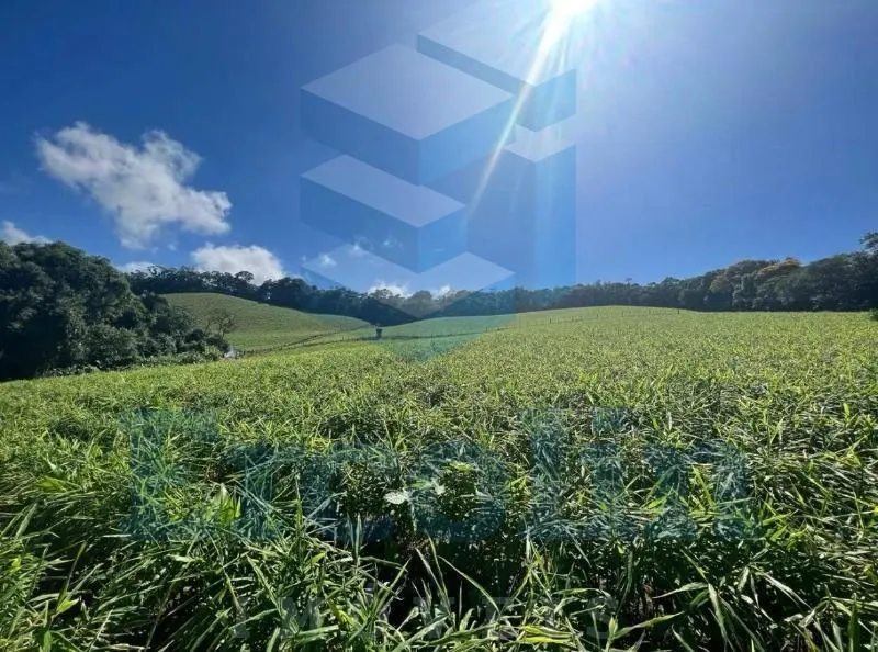 Sítio à venda de 25 ha em Tapiraí, SP, Brasil