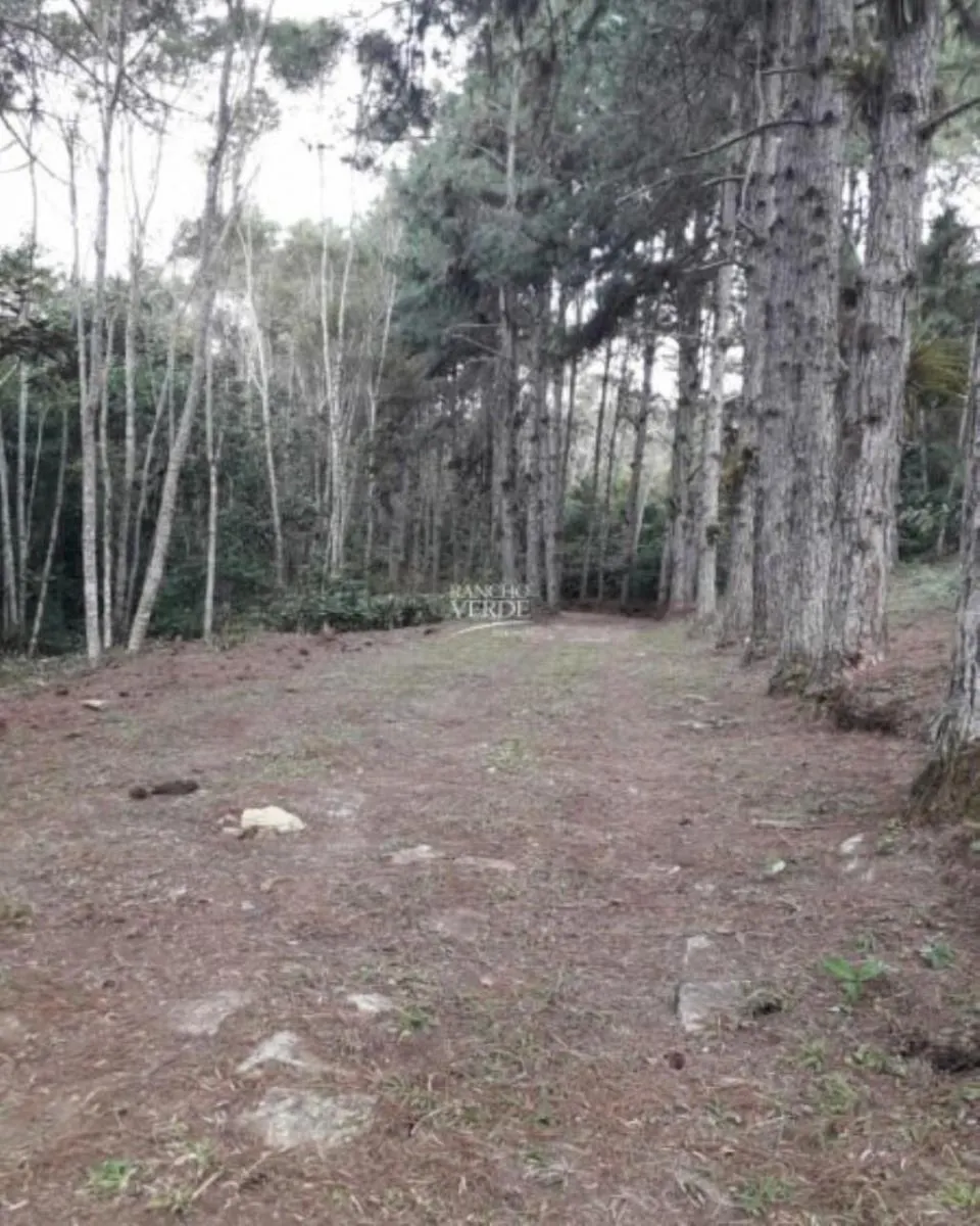 Fazenda à venda de 77 ha em Paraibuna, SP, Brasil