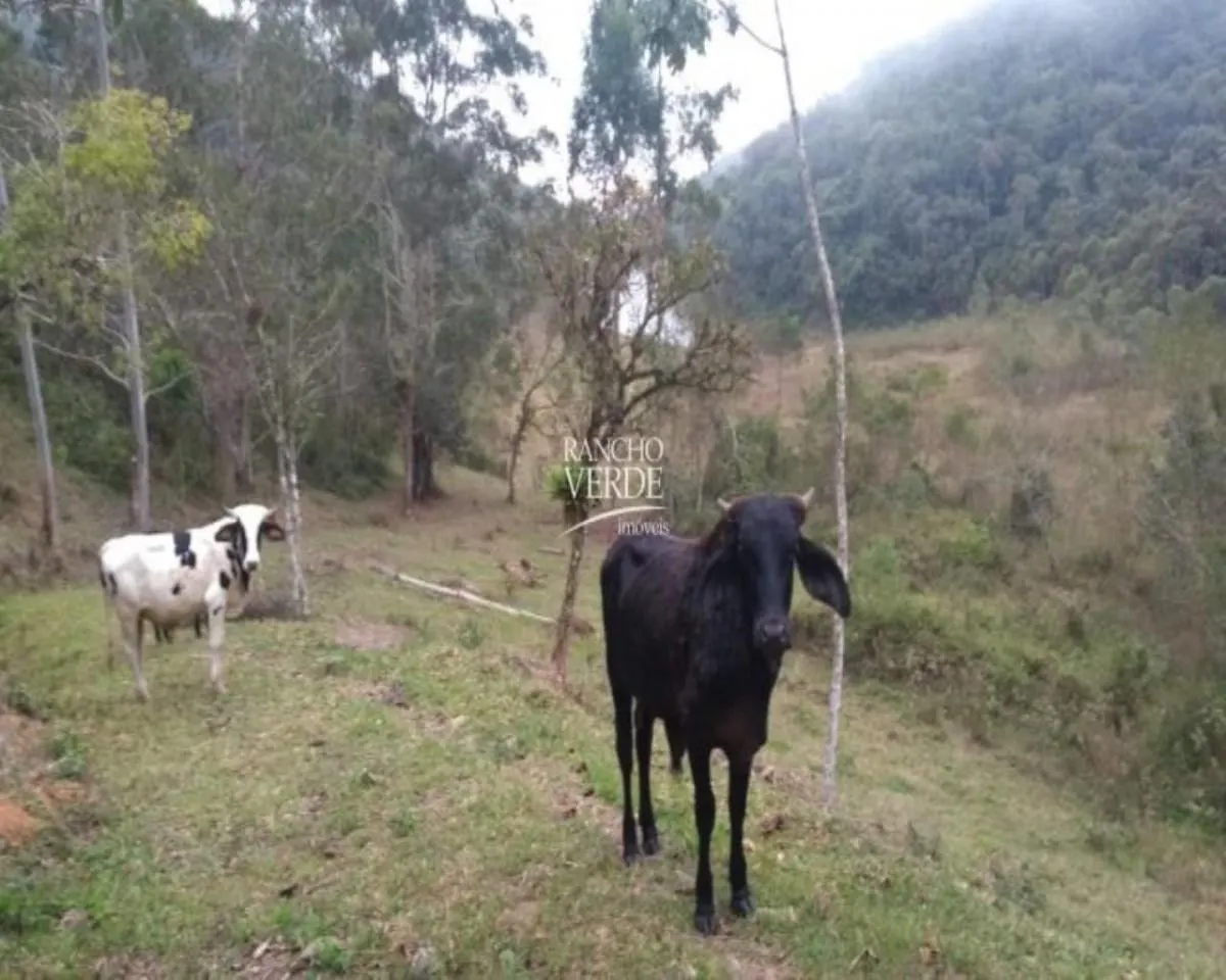 Fazenda à venda de 77 ha em Paraibuna, SP, Brasil