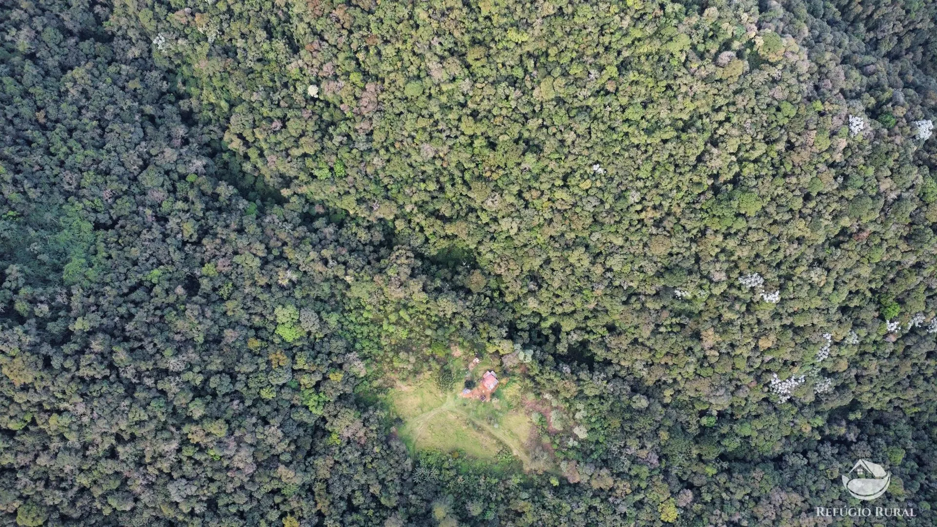 Fazenda à venda de 484 ha em Monteiro Lobato, SP, Brasil